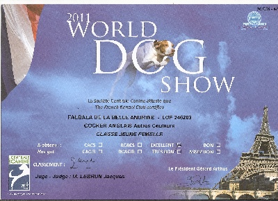 de la Belle Andrine - WORLD DOG SHOW PARIS JUILLET 2011
