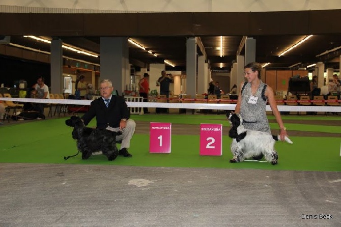 de la Belle Andrine - CHAMPIONNAT de FRANCE Dijon 5 juin 2015