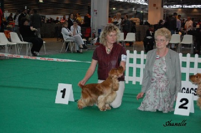 de la Belle Andrine - CHAMPIONNAT DE FRANCE LYON 2008